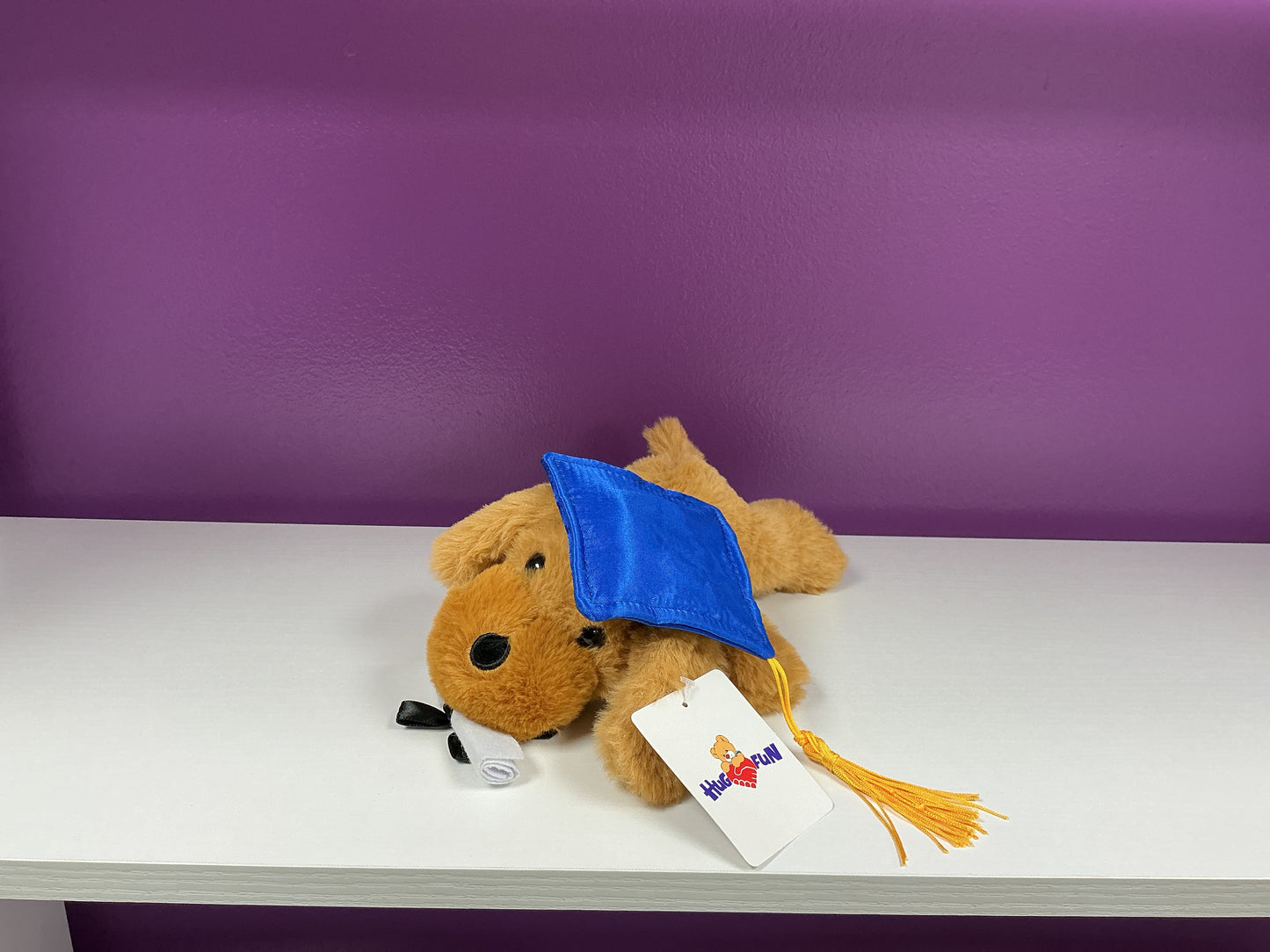 Hug Fun Graduation Stuffed Animal